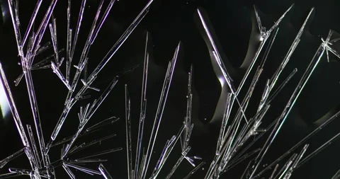 Timelapse of Ammonium oxalate crystallization under polarized light Stock Footage 116474477