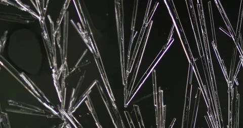 Timelapse of Ammonium oxalate crystallization under polarized light Stock Footage 116474518
