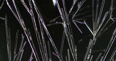 Timelapse of Ammonium oxalate crystallization under polarized light Stock Footage 116474544