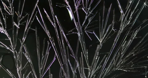 Timelapse of Ammonium oxalate crystallization under polarized light Stock Footage 116474562