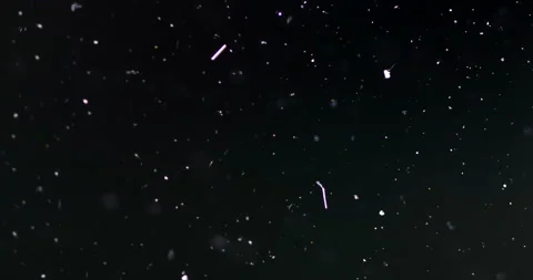 Timelapse of Ammonium oxalate crystallization under polarized light Stock Footage 116474722