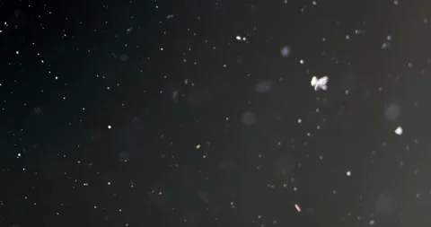Timelapse of Ammonium oxalate crystallization under polarized light Stock Footage 116474723