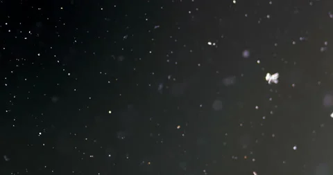 Timelapse of Ammonium oxalate crystallization under polarized light Stock Footage 116474975