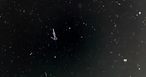 Timelapse of Ammonium oxalate crystallization under polarized light Stock Footage 116474976