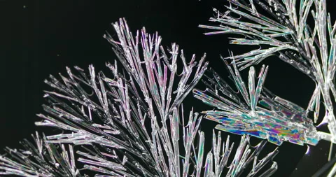 Timelapse of Ammonium oxalate crystallization under polarized light Stock Footage 116475556
