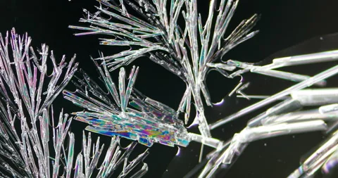 Timelapse of Ammonium oxalate crystallization under polarized light Stock Footage 116475736