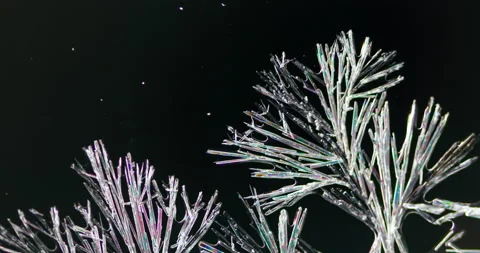 Timelapse of Ammonium oxalate crystallization under polarized light Stock Footage 116475859
