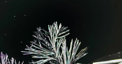 Timelapse of Ammonium oxalate crystallization under polarized light Stock Footage 116476176