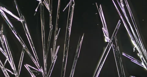 Timelapse of Ammonium oxalate crystallization under polarized light Stock Footage 116476547