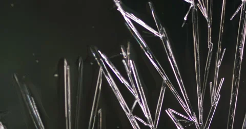 Timelapse of Ammonium oxalate crystallization under polarized light Stock Footage 116476563