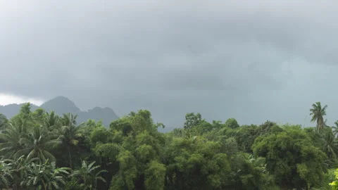 Timelapse of an Approaching Strom Cloud with Lightnings &amp; Rain Afterwards Video stock 263133485
