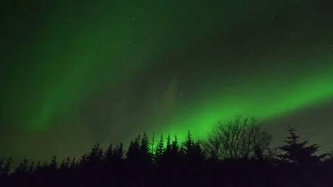 Timelapse of aurora borealis moving over forest Video stock 73010648