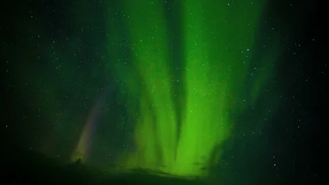 Timelapse, Aurora Over the winter forest Video stock 98888230