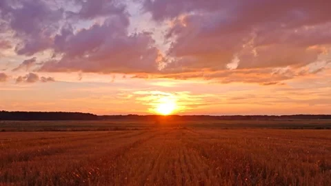 Time‑lapse of an autumn field at sunset. sunset over the field. Golden hour Stock Footage 345631285