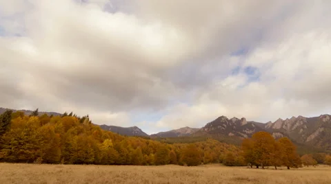 Timelapse of autumn forest with cloudy sky Stock Footage 68758328