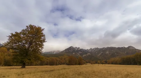 Timelapse of autumn forest with cloudy sky Stock Footage 68758409