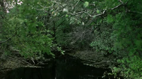 Timelapse autumn river Vídeos de archivo 11587539