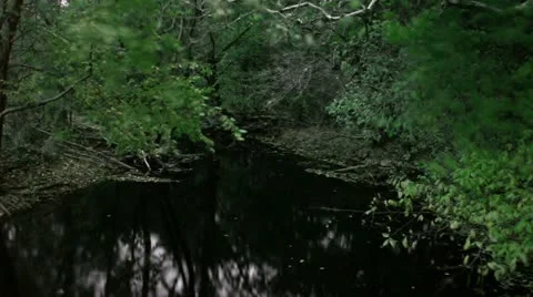 Timelapse autumn river Video stock 11606700