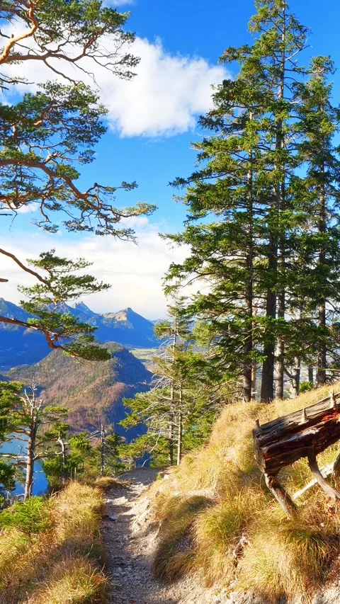 Timelapse: Autumnal path in the mountains Stock Footage 309216575