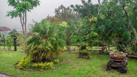 TimeLapse of backyard and clouds 4K 30fps Stock Footage 263512399