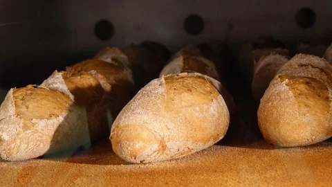 Timelapse baking bread in the oven Stock Footage 155523601