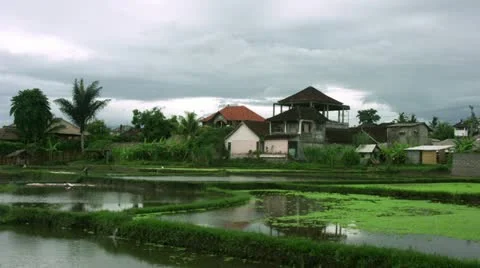 Timelapse Bali field Vídeo Stock 11528352
