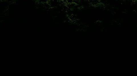 Timelapse Bali valley Stock-Footage 11528327