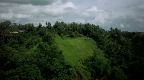 Timelapse Bali valley Vídeo Stock 11528328