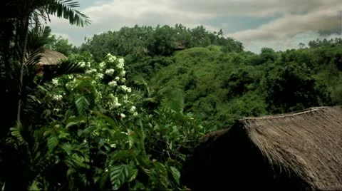 Timelapse Bali villa Видео 11528332