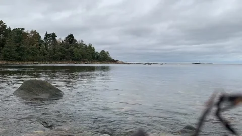 Timelapse of Baltic with swans Vidéo 169715568