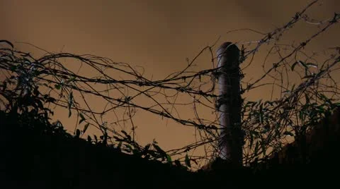 Timelapse barbed wire Stockbeeldmateriaal 11583153