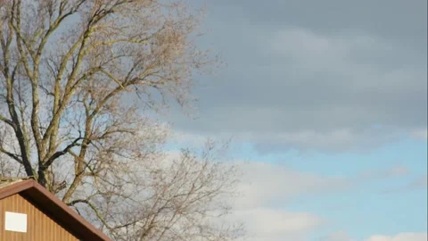 Timelapse of a bare tree over the roof of a house and clouds Vídeos de archivo 233761349