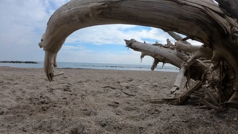 Timelapse Beach from behind a log. Stock Footage 104919024
