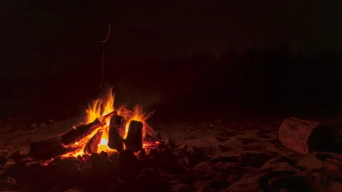 Timelapse of Beach Bonfire at night with log to sit on Stock Footage 160072304