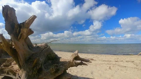 Timelapse on the beach Stock Footage 151774987