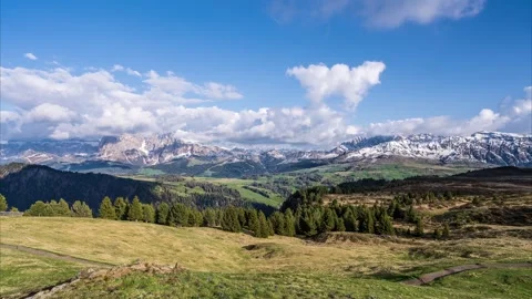 Timelapse of a beautiful alpine meadow full of flowers in the Italian Alps. Stock Footage 244744913