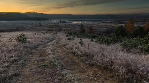 Timelapse of beautiful autumnal morning landscape with hoarforst on plants Stock Footage 59083691