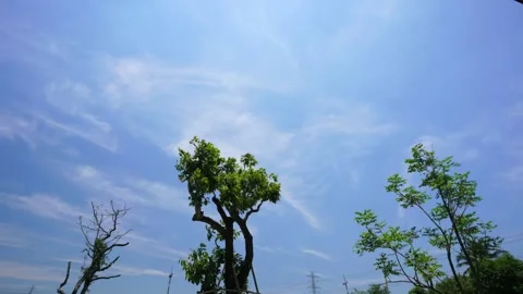Timelapse beautiful blue sky with clouds background.Blue sky with clouds.Sky wit 스톡 동영상 130236019