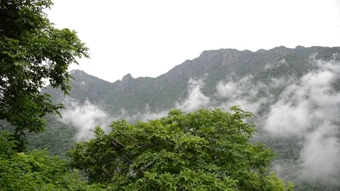 Timelapse - Beautiful Clouds in the forest of Mount Abu, Rajasthan, India 2 Stock Footage 84044791