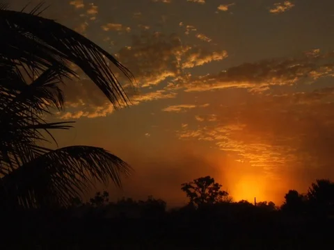 Timelapse of Beautiful Sunrise in Amazon Jungle Rainforet Stock Footage