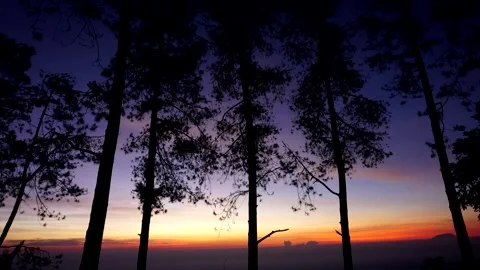 Timelapse of Beautiful Sunrise Through Trees of Mt Ungaran, Semarang Video stock 198178398