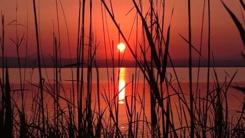 Timelapse. beautiful sunset on the lake Stock Footage 106753454