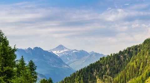 Timelapse of Beautiful View of Mont Blanc Massif with the grass and little flowe Stock Footage 65491111