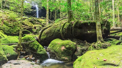 Timelapse : Beautiful waterfall in forest, Thailand., HD 1080P. Stock Footage 34866418
