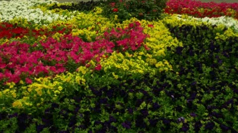 Timelapse Beijing Temple Vídeo Stock 11528377
