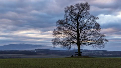 Timelapse of a bench and a lone tree on top of a hill overlooking dark Stock Footage 145884633