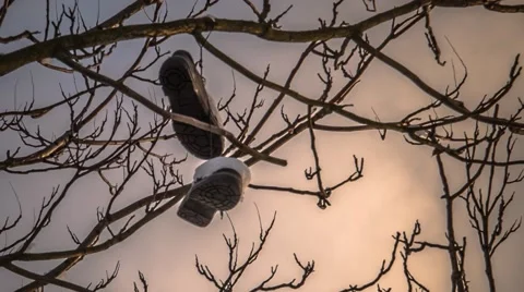Timelapse Berlin,  dancing shoes Stock Footage 55765089
