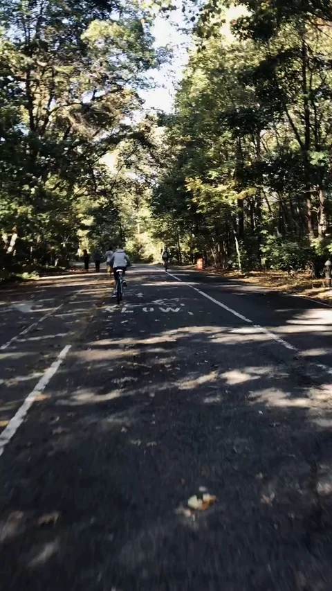 Timelapse Bike Through Park Stock Footage 120875872