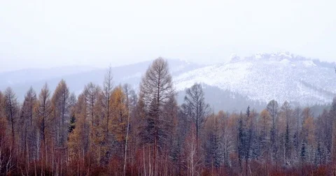 Timelapse, Blanket of snow covered mountains, autumn came Stock Footage 81877386