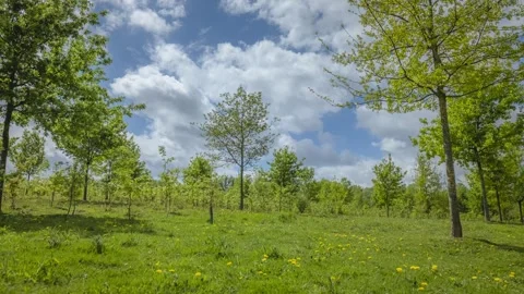 Timelapse with blue clouds Stock Footage 289314222